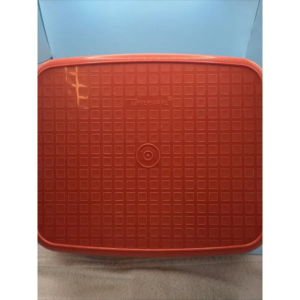 Tupperware Season 'N Serve Meat Keeper Marinade Container w/Lid Paprika 1294-6